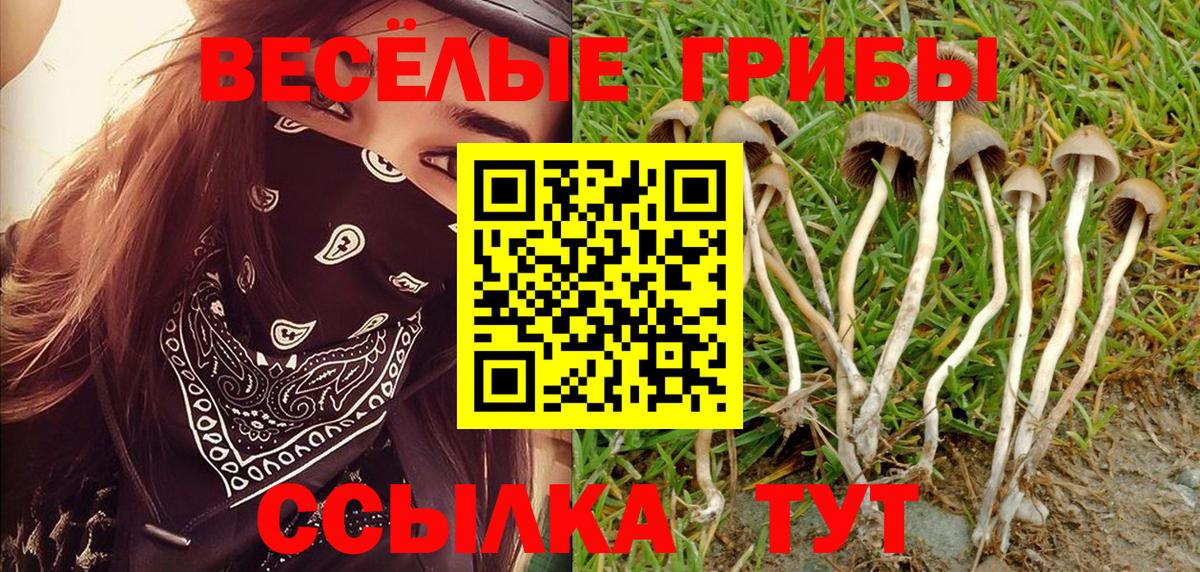 Псилоцибиновые грибы ЛСД Ялта